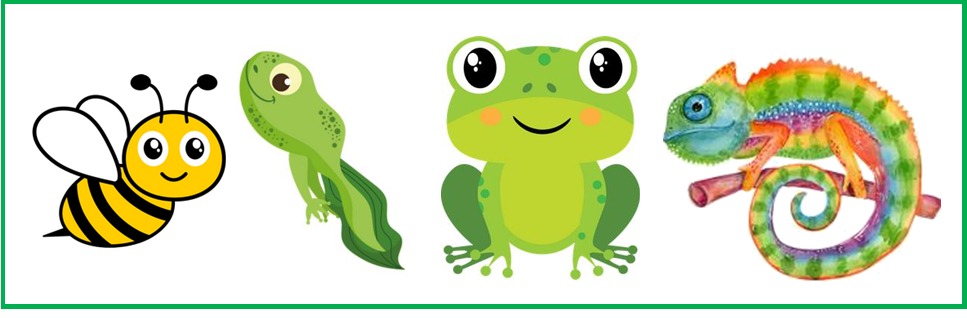 Home Page Image